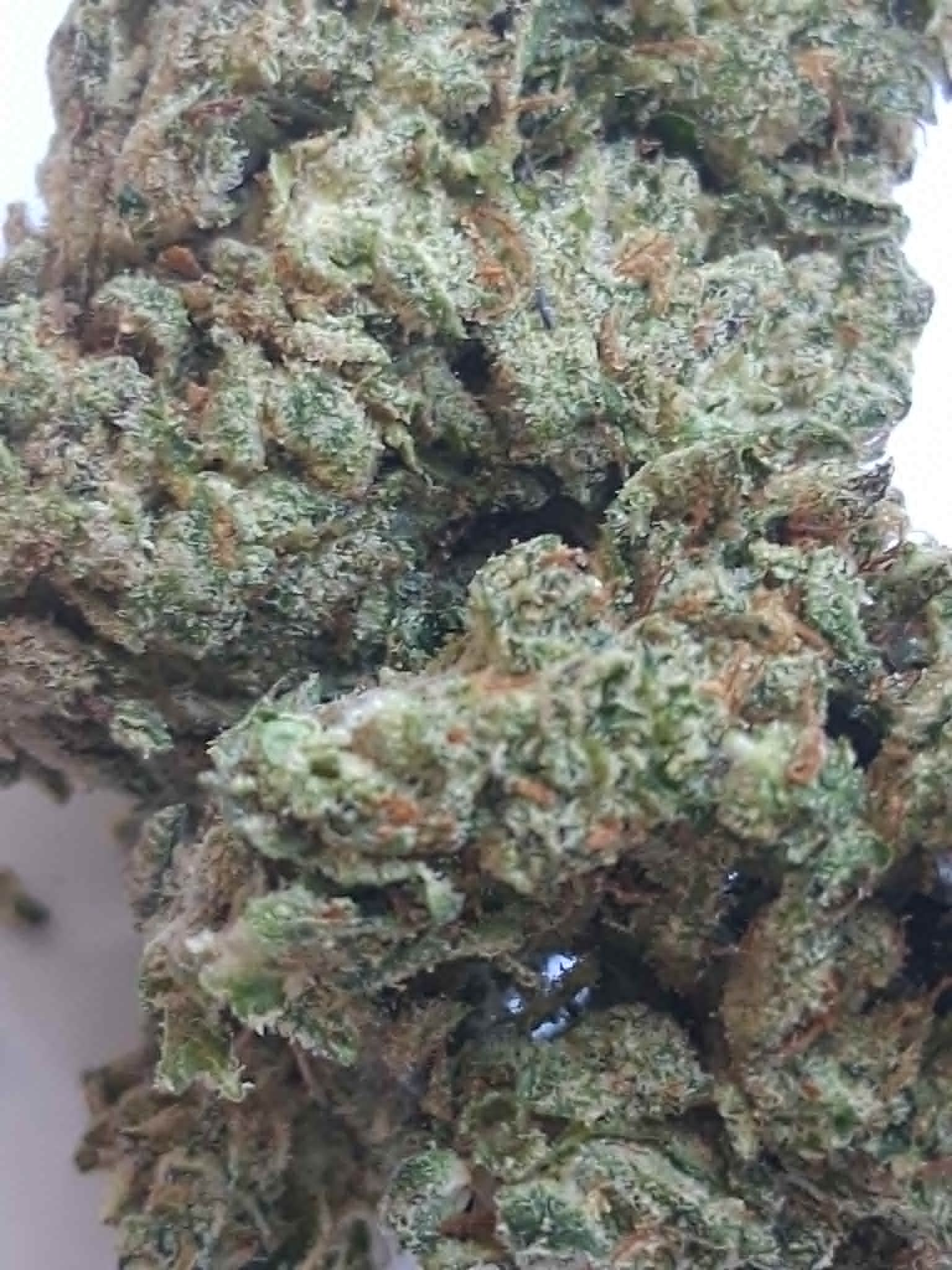 melon-haze-pics-3.webp Melon Haze THCA Flower