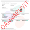tropicana cherry cookies coa page 1 Tropicana Cherry Cookies THCA Flower